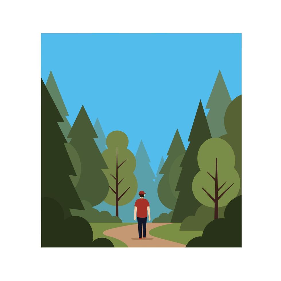 Man walking through a green forest in a flat style art vector