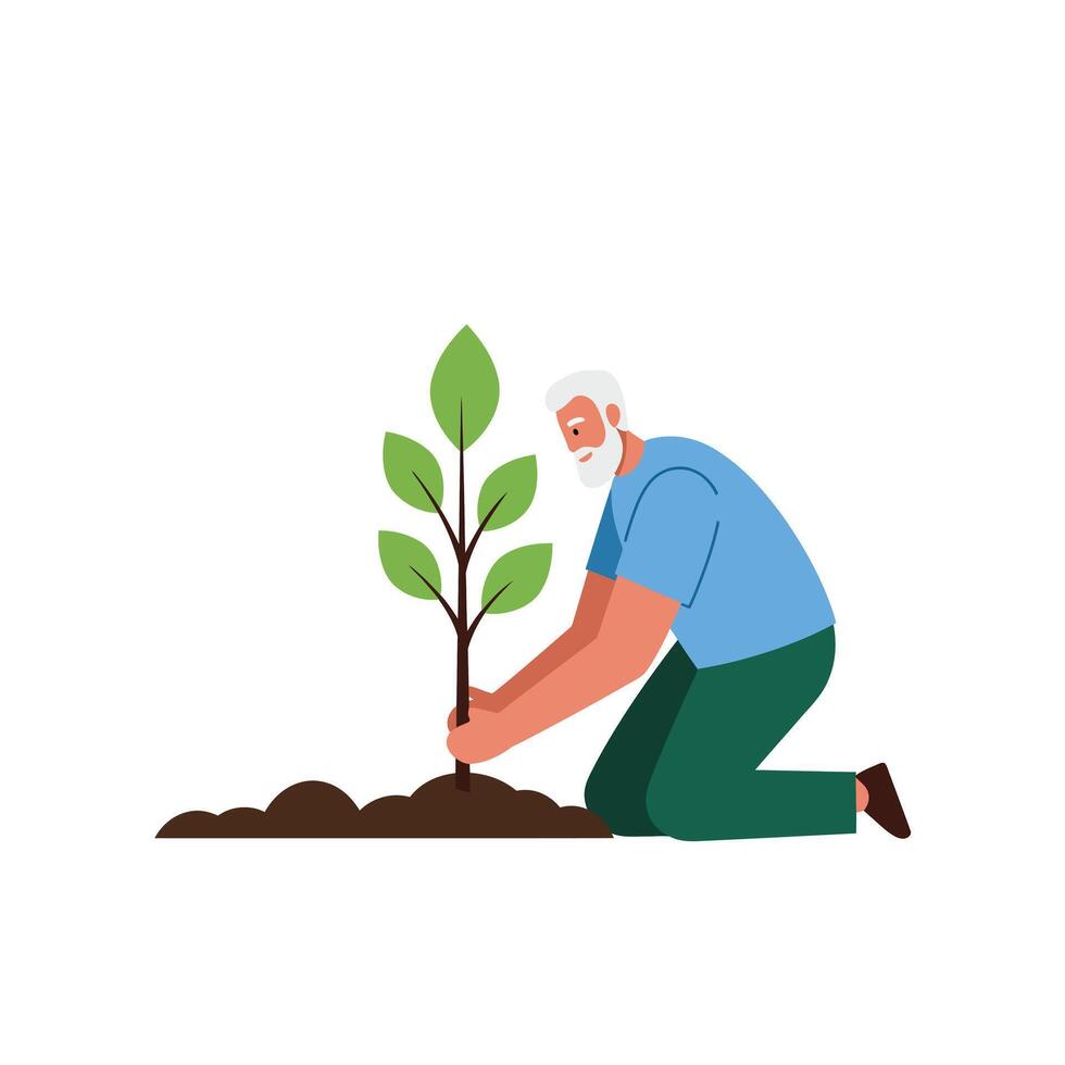 Elderly man planting a young tree in minimal flat illustration vector