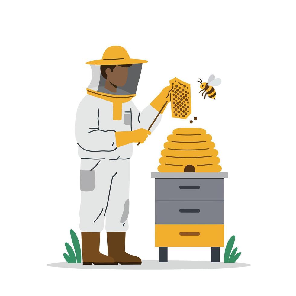 Beekeeper in white suit tending to honeycomb with flat art style illustration vector