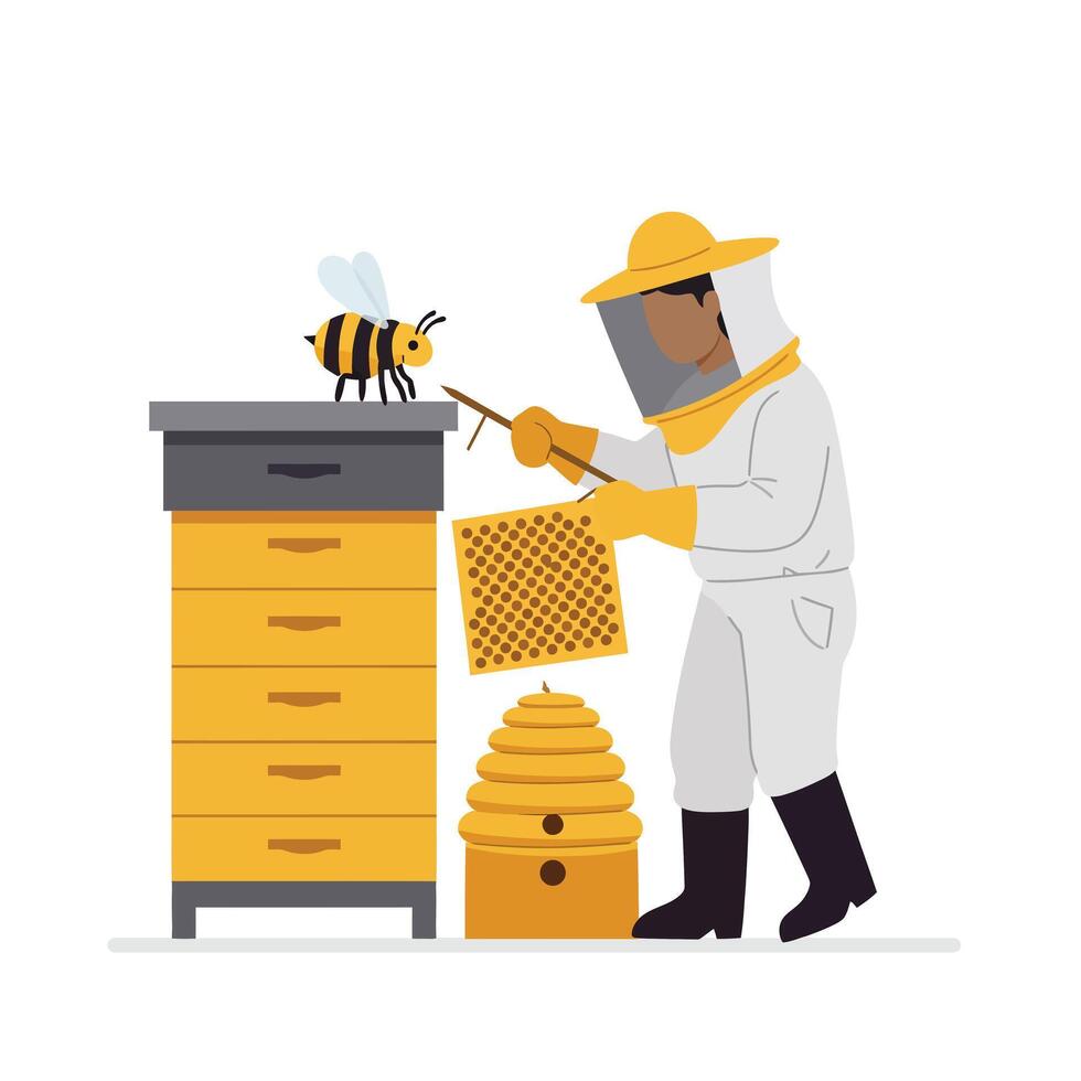 Beekeeper tending to hive with honeycomb in flat illustration vector