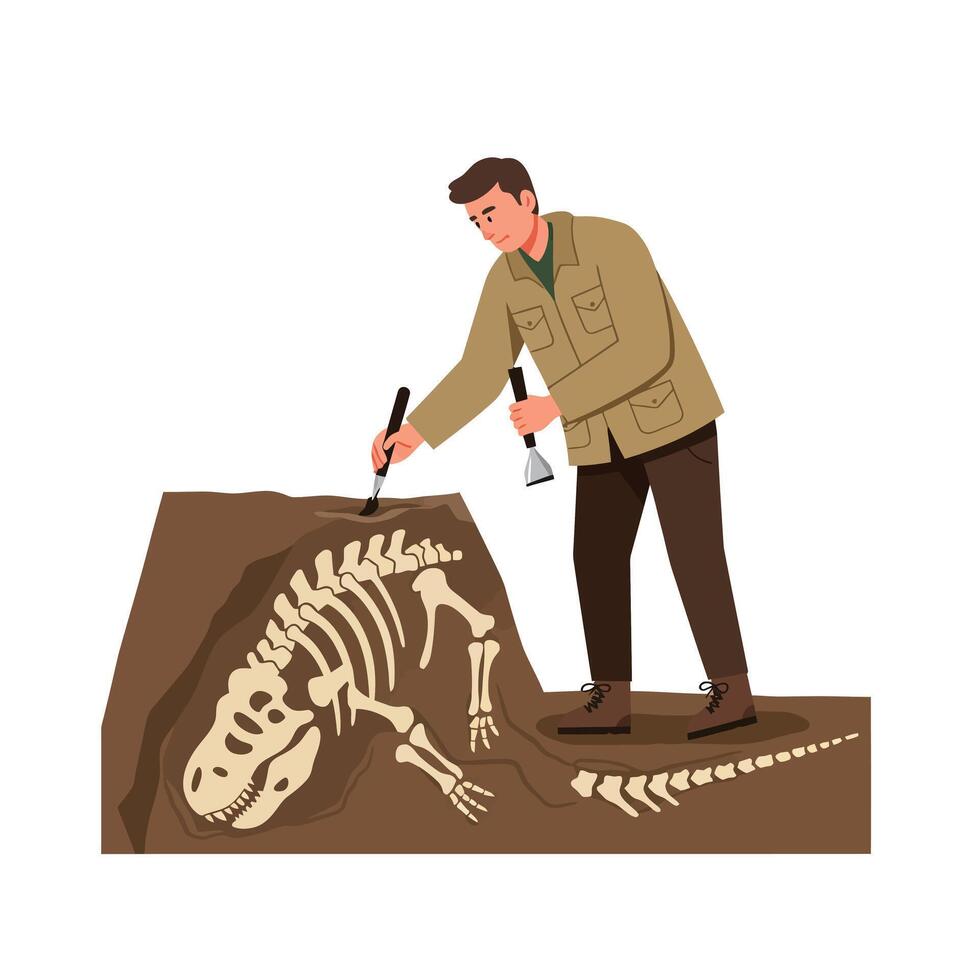 Paleontologist excavating dinosaur bones in detailed flat art vector