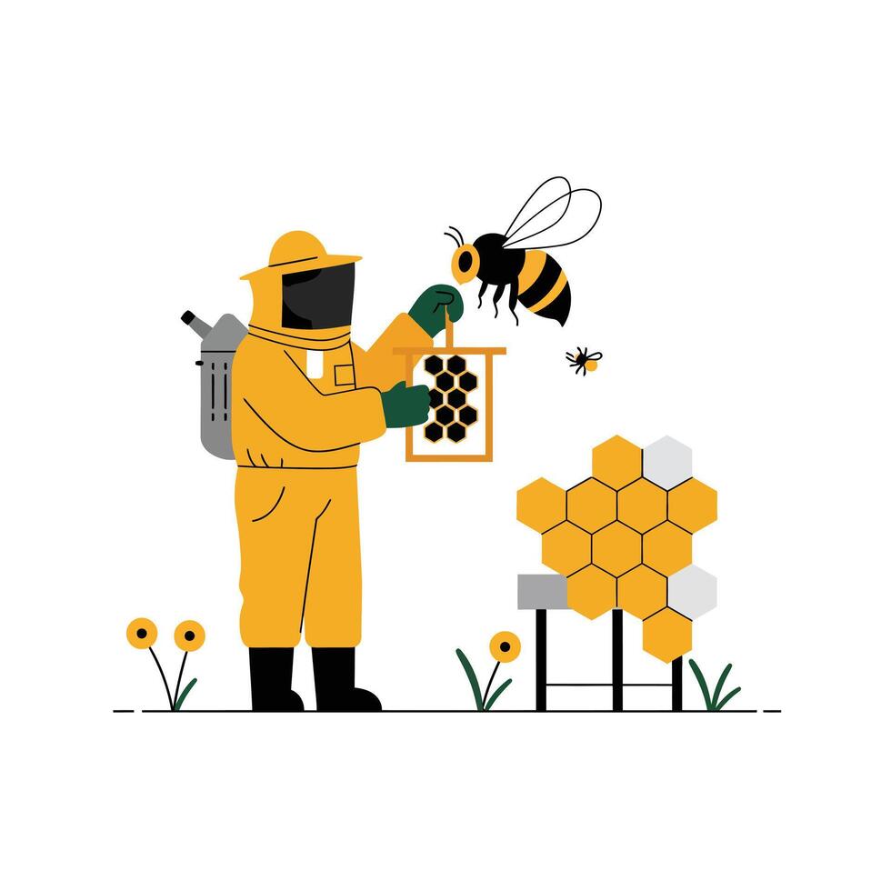 Beekeeper inspecting honeycomb with bees in flat illustration vector