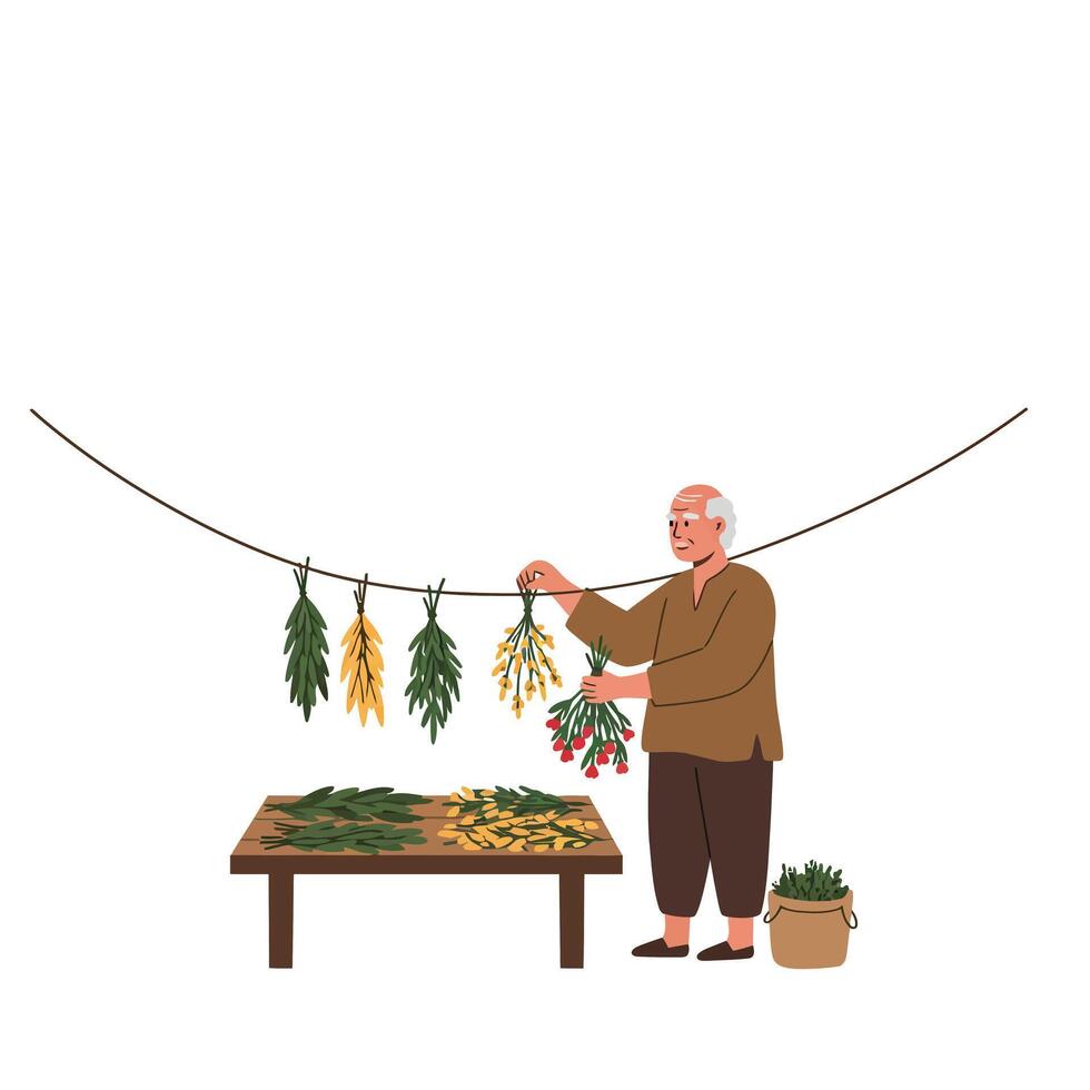 Elderly man arranging colorful vegetables in flat minimal art vector