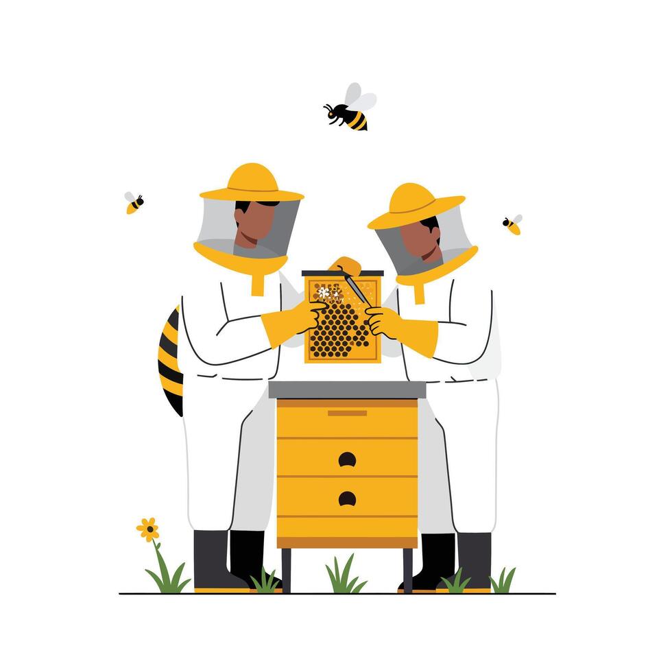 Beekeepers inspecting honeycomb in flat style art vector