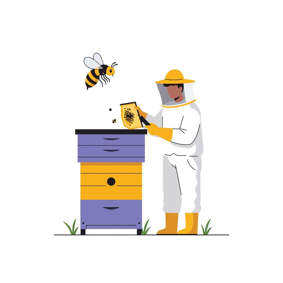 Beekeeper harvesting honey from hive in flat art illustration vector