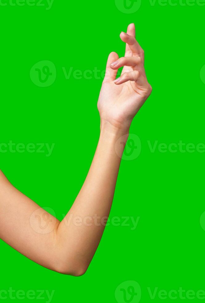 Hand gesture against a vibrant green background with soft contours and a relaxed pose photo