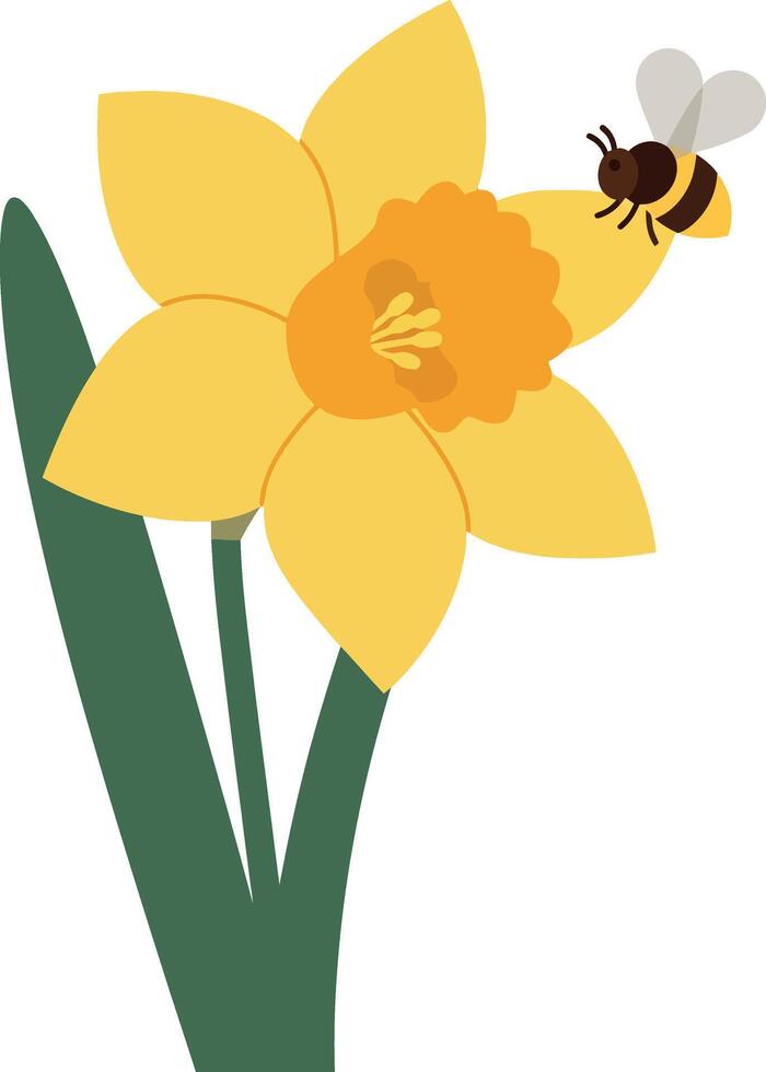 Bright yellow daffodil flower with a buzzing bee in flat art vector