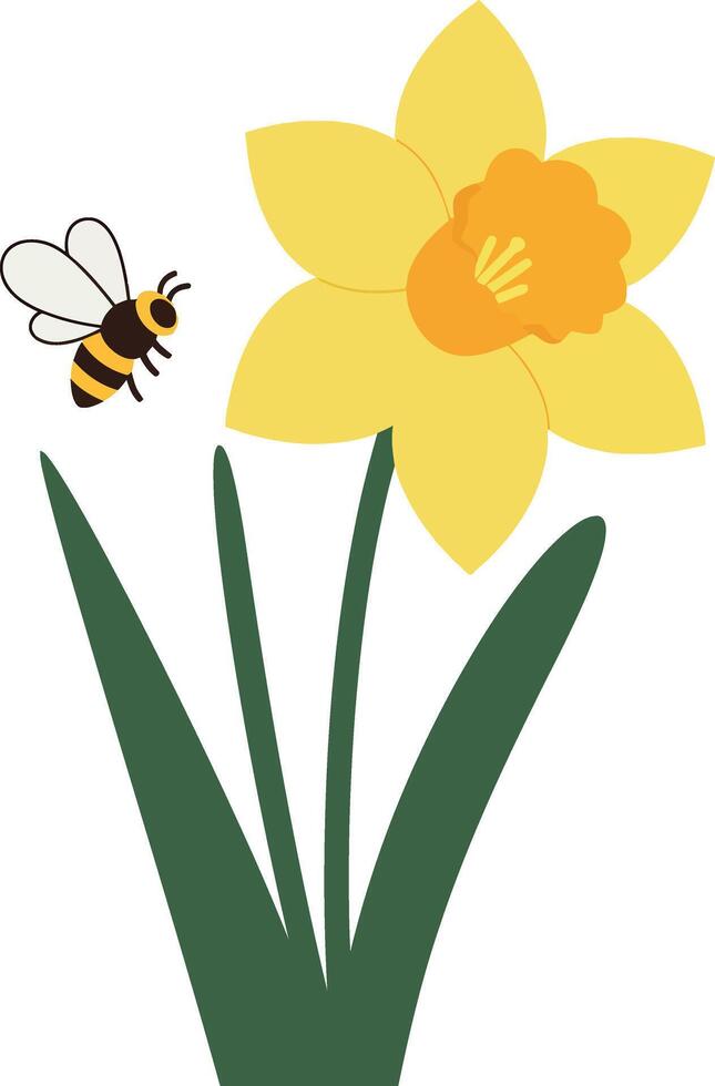 Bright yellow daffodil flower with buzzing bee in flat design art vector