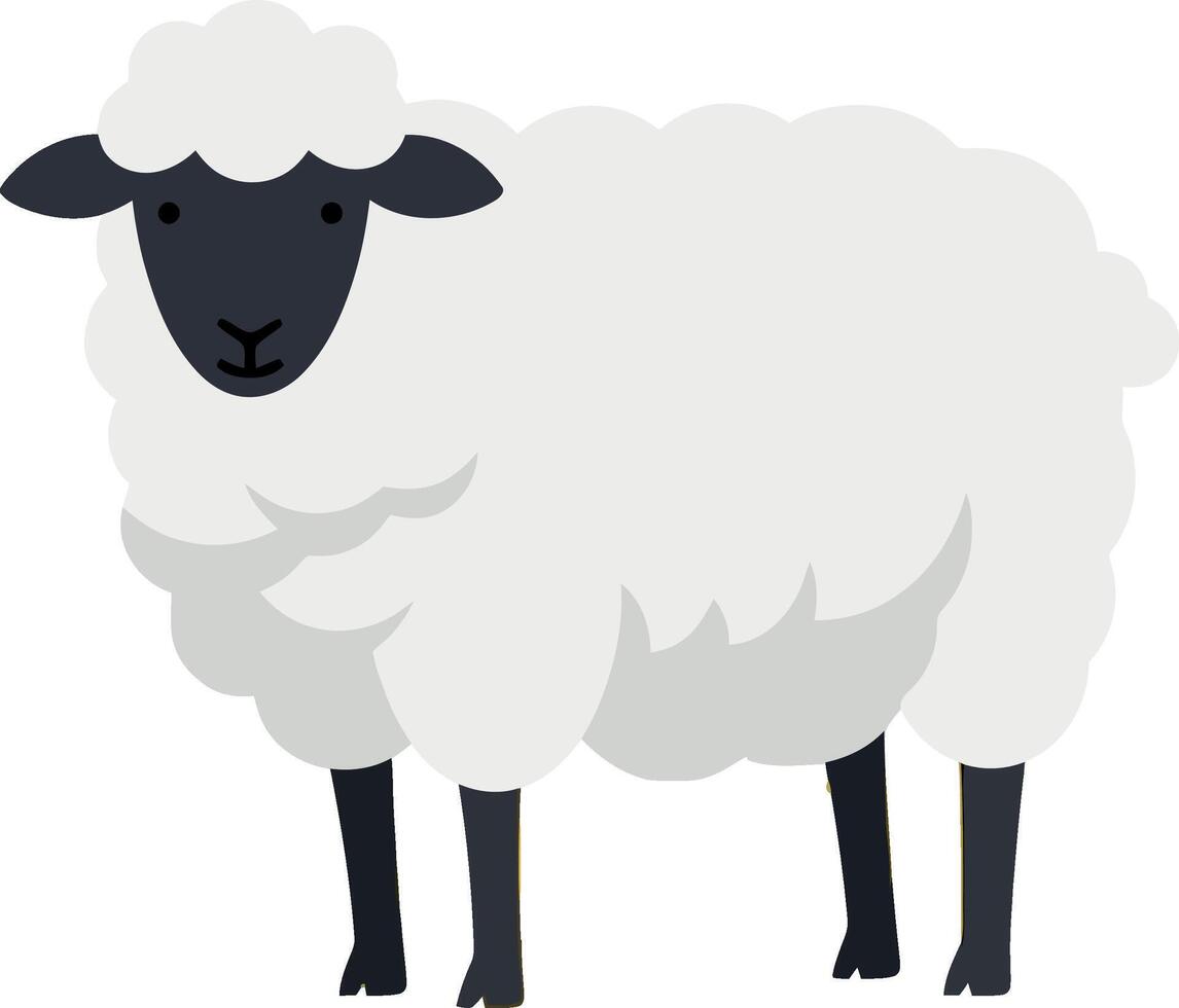 Cute black-faced sheep in flat design style standing on a white background illustration vector