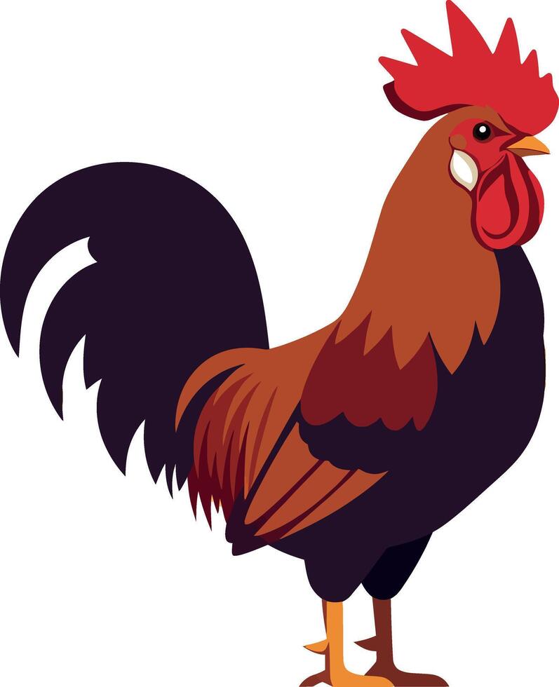 Colorful rooster standing proudly with detailed feathers in a minimal flat design illustration vector