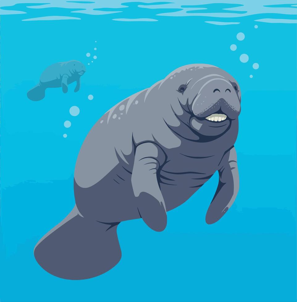 Manatee swimming gracefully in clear blue water, flat illustration showcasing aquatic life vector