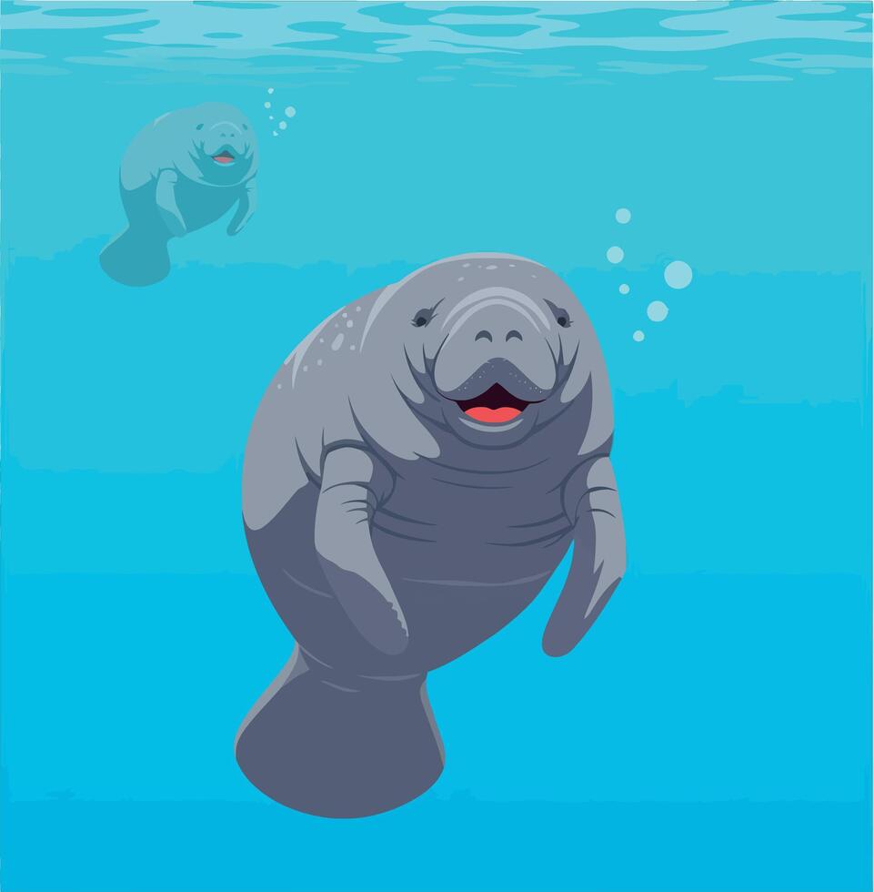 Manatees swimming gracefully in clear blue waters with a flat illustration style vector