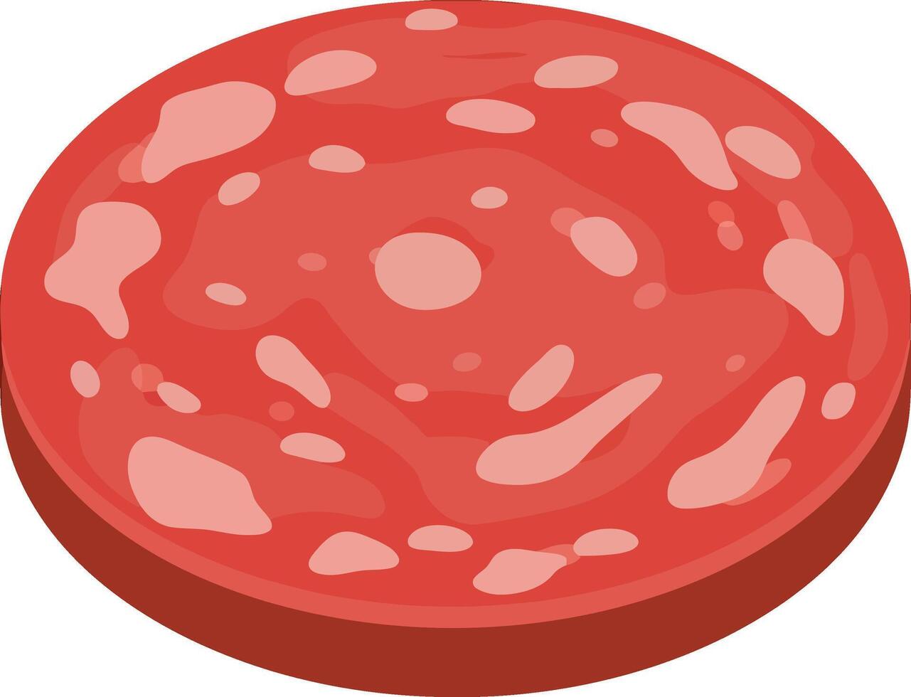 Round slice of pepperoni with detailed texture in flat design style art vector