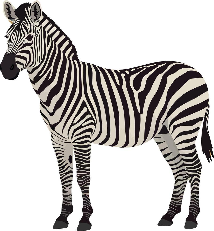Striking zebra standing gracefully in a flat, minimalist design style art vector