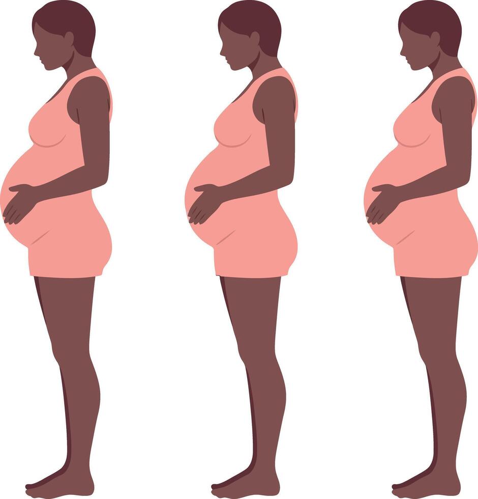 Three pregnant women in profile showcasing different stages of pregnancy in minimal illustration vector