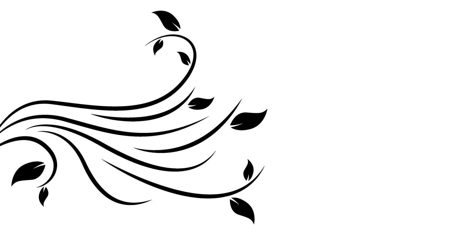 Black and white botanical design. Flower or leaves drawing art isolated on a white vector