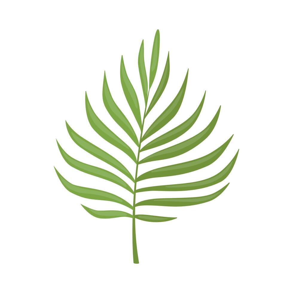 Palm Tree Leaf, Beautiful Green Tropical Exotic Plant Decorative Element Illustration vector