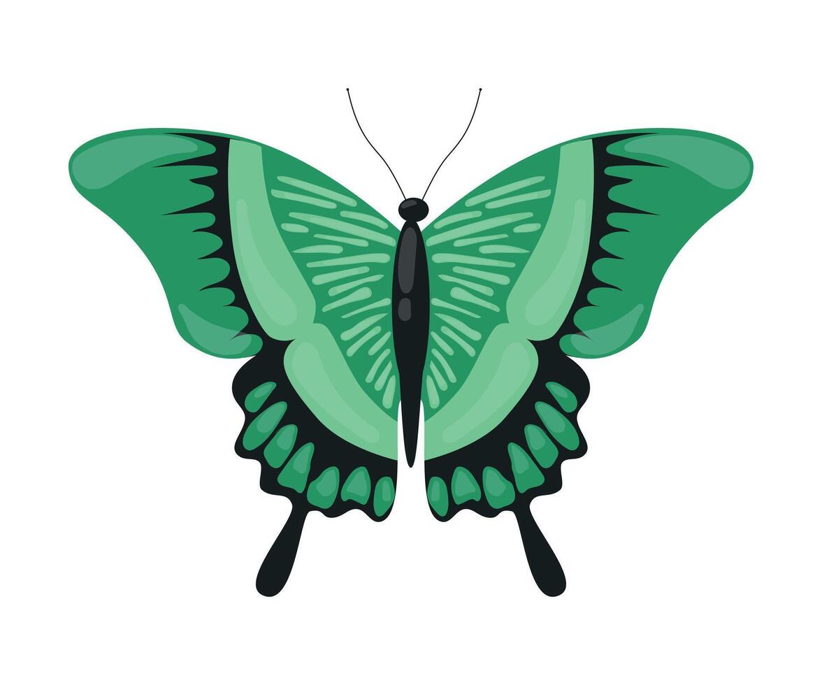 Green Tropical Butterfly, Beautiful Flying Insect for Decorative Element Illustration vector