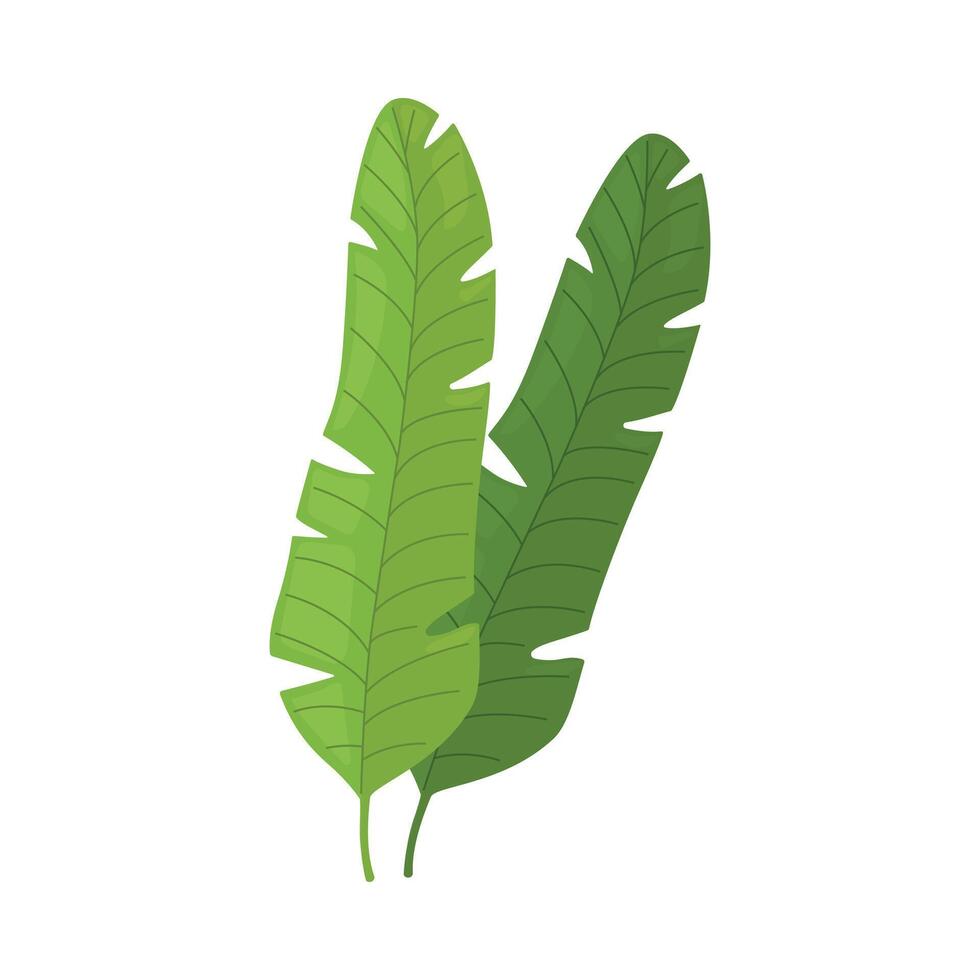 Two Green Leaves of Palm Tree, Tropical Exotic Plant Decorative Element Illustration vector