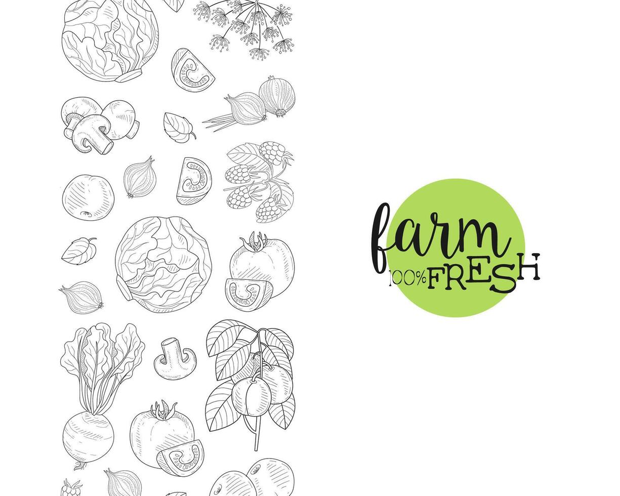 Fresh Farm Food Banner Template with Hand Drawn Vegetables and Plants Seamless Pattern Illustration vector