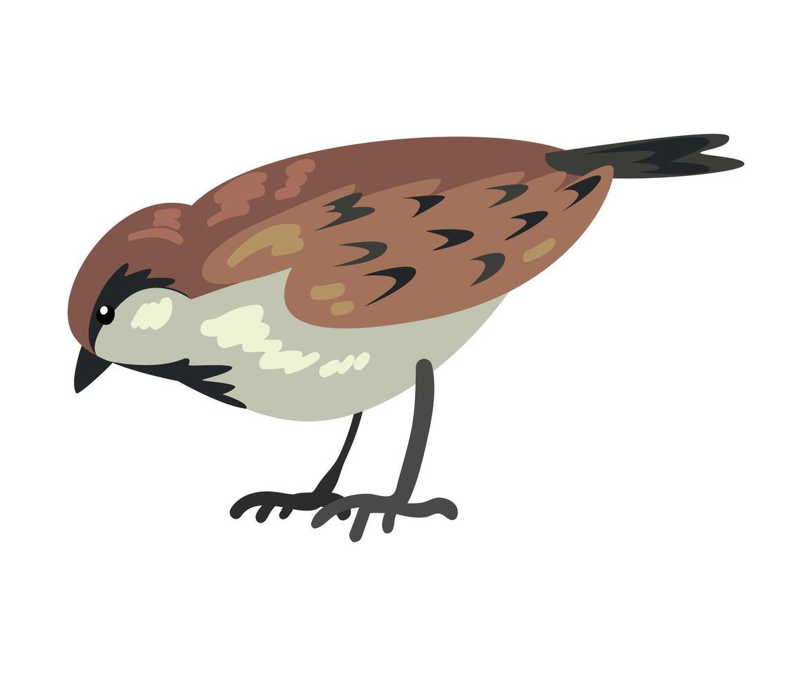 Cute Sparrow Winter Bird, Beautiful Northern Birdie Illustration vector