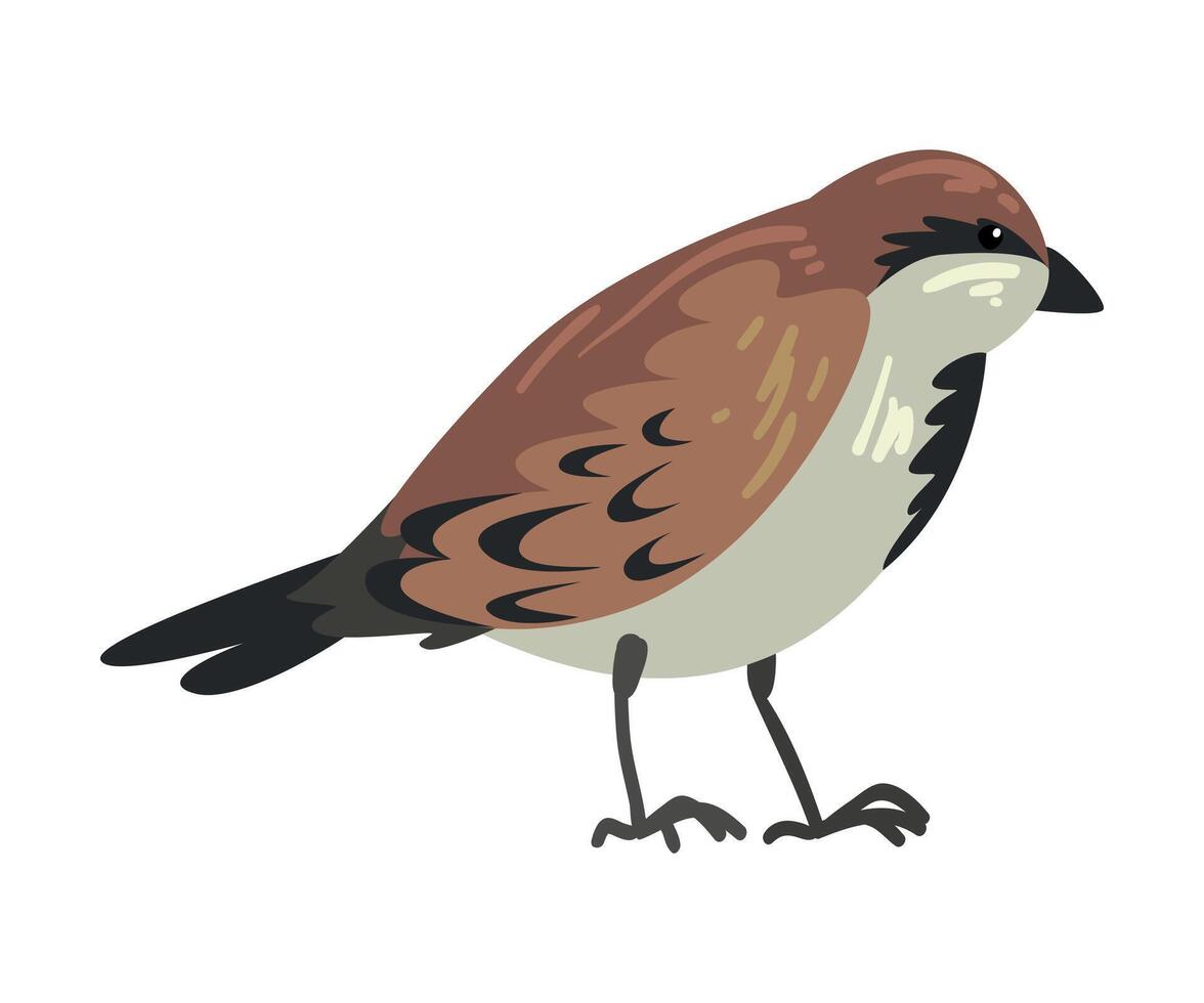 Cute Winter Bird, Beautiful Northern Birdie, Side, View Illustration vector