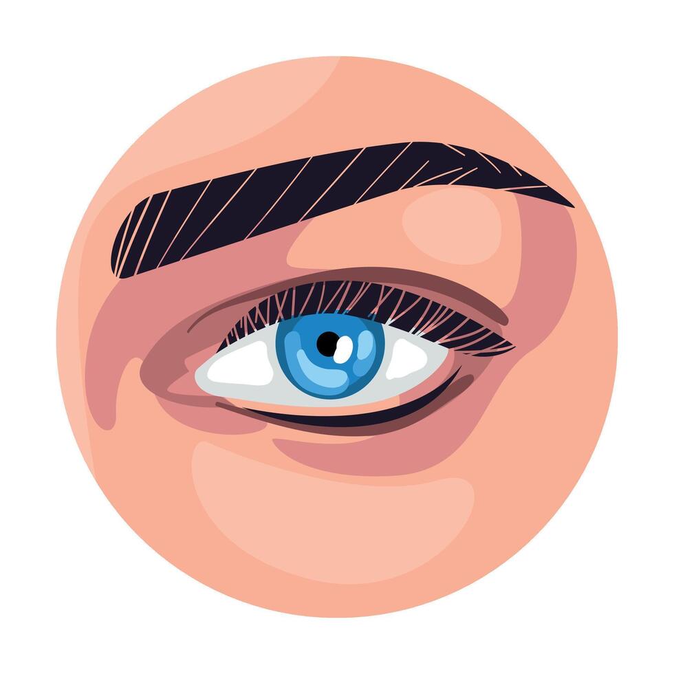 Blue Eye in the Circle, Part of Female Face Illustration vector