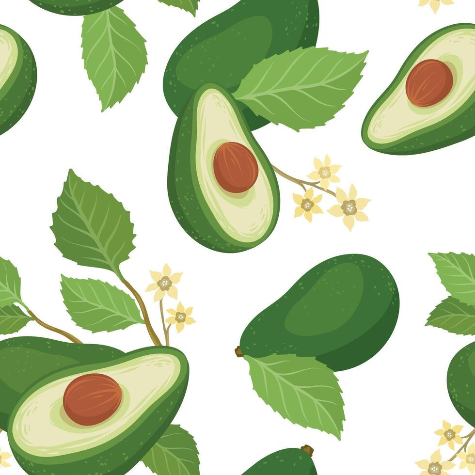 Seamless pattern with avocado brunch and flowers fruit, whole and split avocados vector