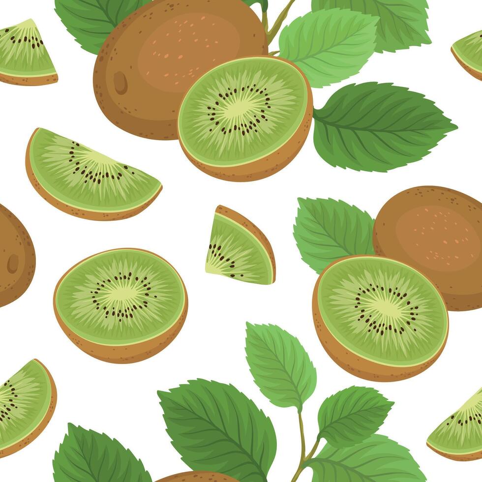 Seamless pattern with Fresh and tasty kiwi, fruit brunch. vector