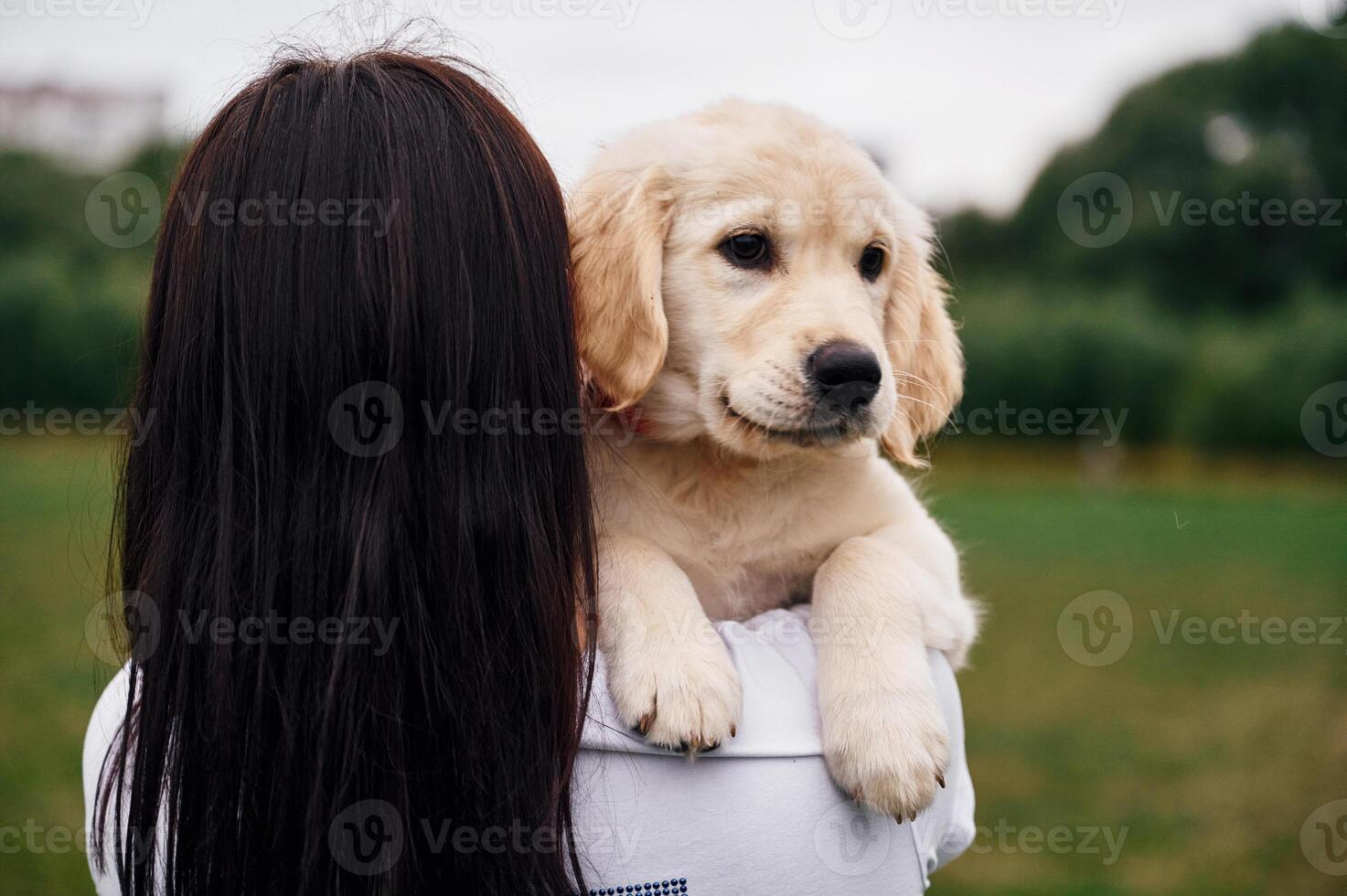Rear view of woman that is with ,cute ,little golden retriever dog on the green field photo