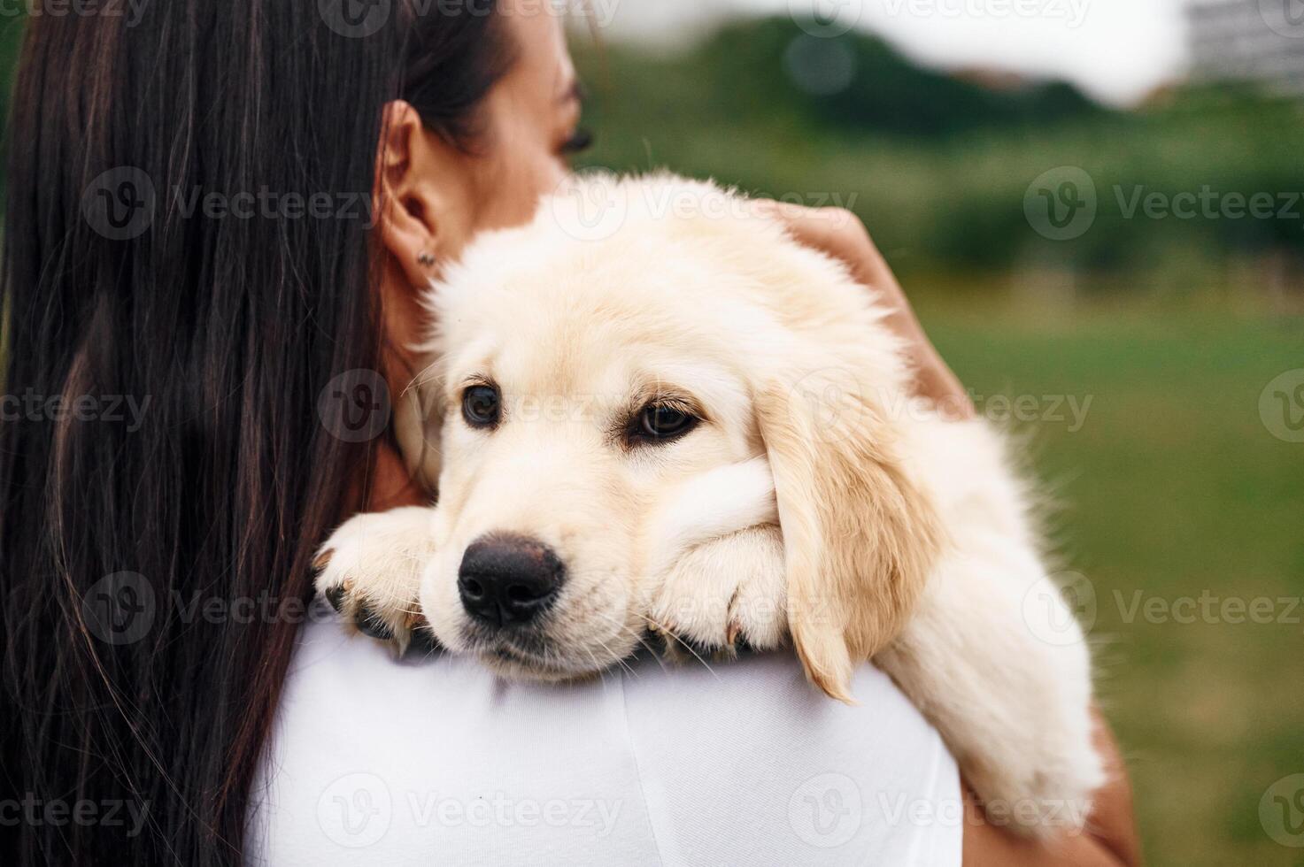 Rear, view of woman ,that is with cute little golden retriever dog on the green field photo