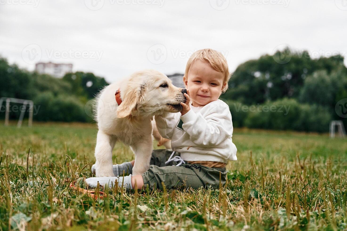 Little boy with golden retriever dog, on the field photo