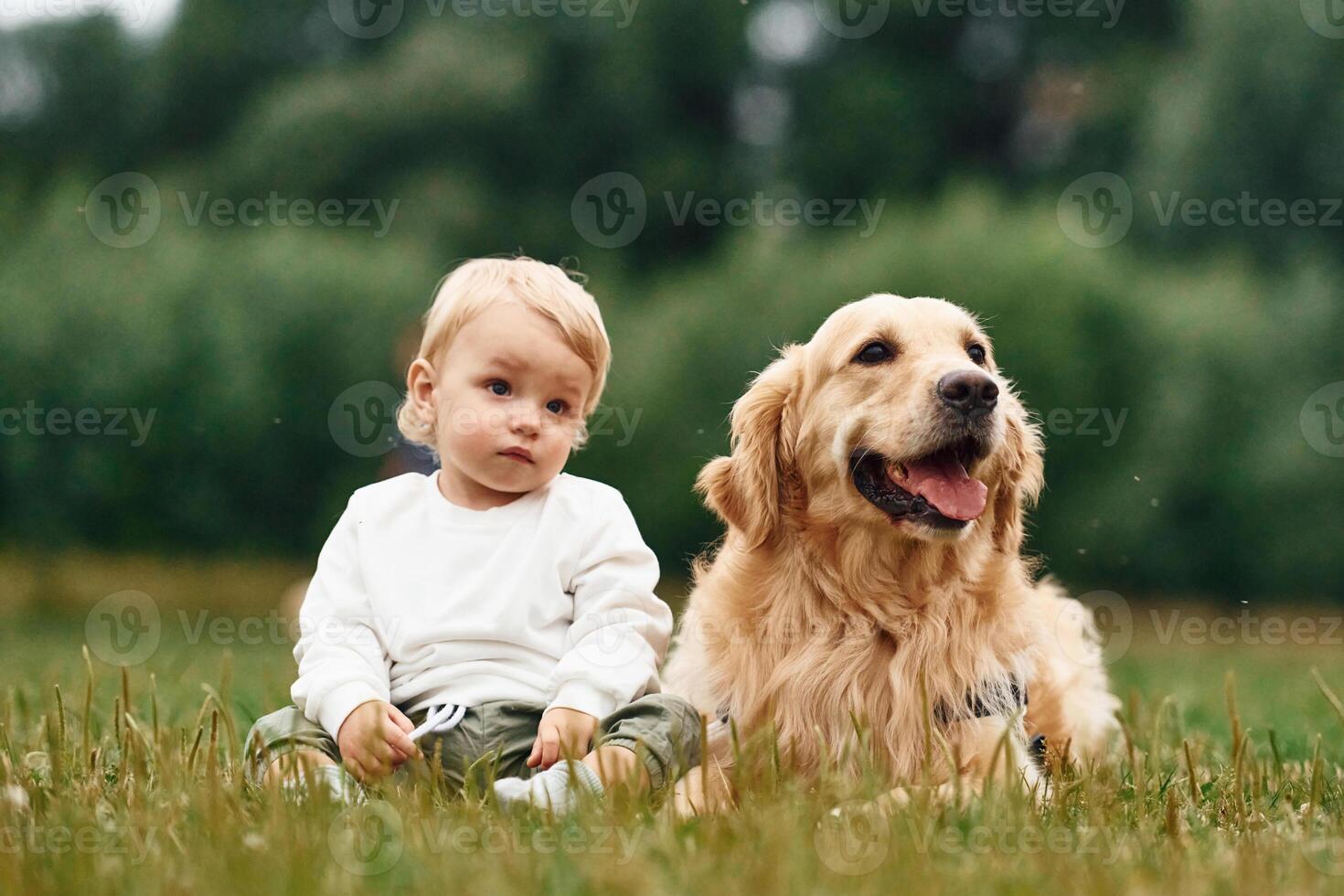 Sitting, on, the ground. Little boy with golden retriever dog on the field photo