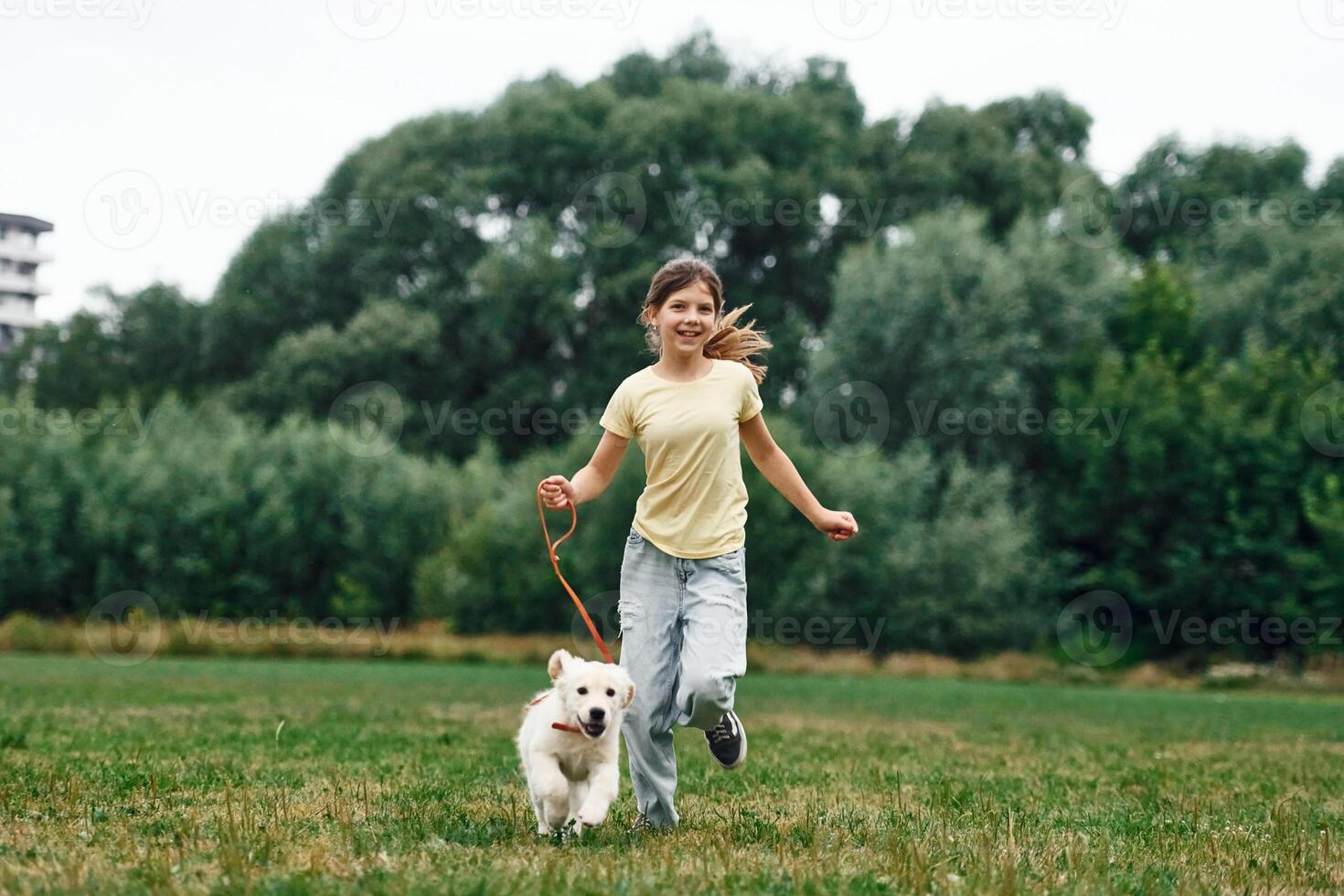 Cute little, girl is with golden retriever dog on the field photo