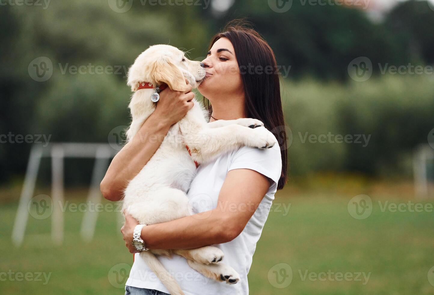 Puppy, is in hands. Woman with cute little golden retriever dog is on the green field photo