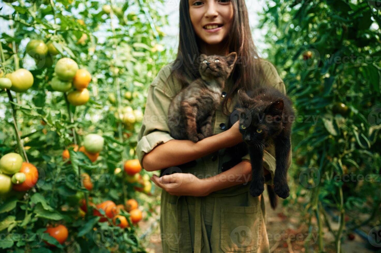 Smiling, holding cats. Little girl is in the garden with tomatoes photo