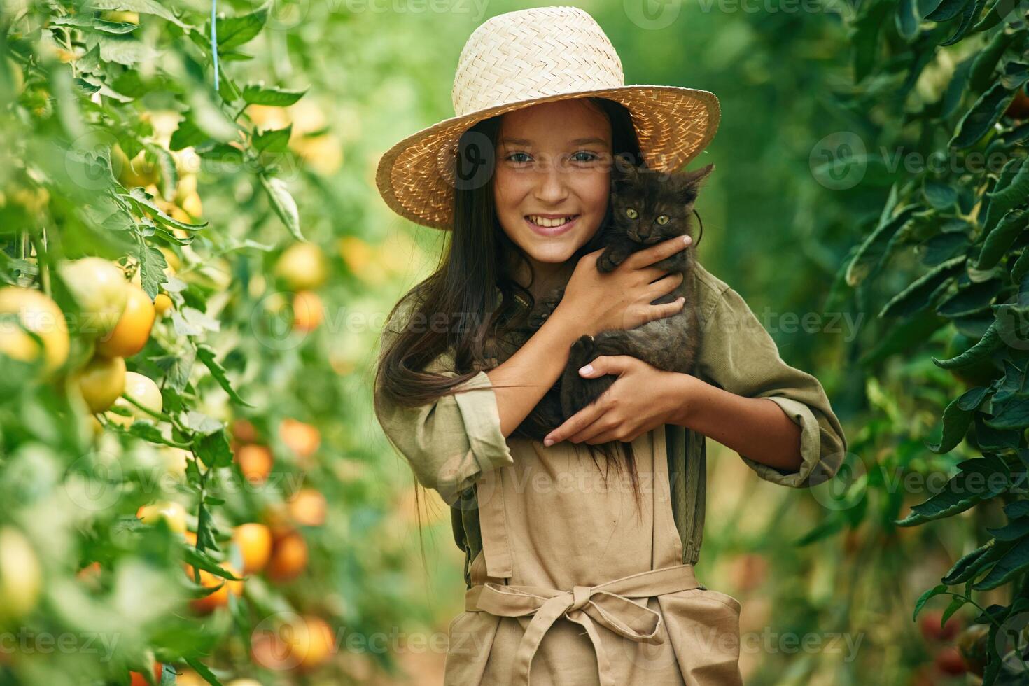 Cute, kitten in hands. Little girl is in the garden with tomatoes photo