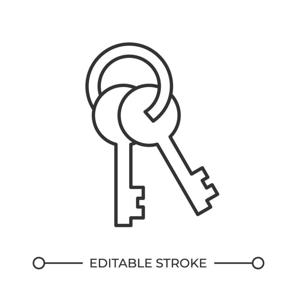 Keys line icon. Lock opening set on keyring. Access to closed enclosures. Personal tool to enter apartment. Isolated illustration. Outline symbol. Simple linear drawing. Editable stroke vector