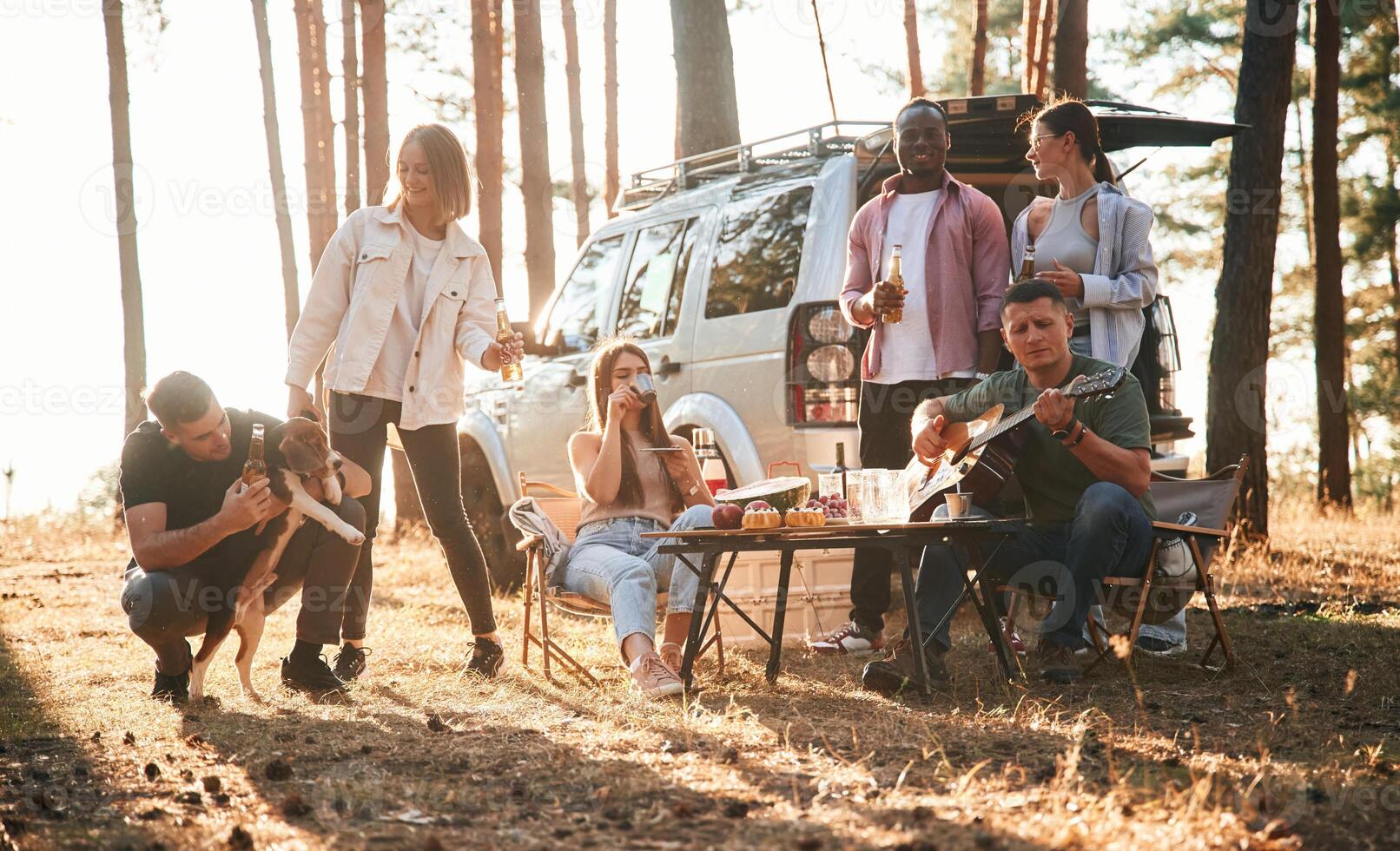 Drinking, eating,, playing with dog,. Group of friends are together in the forest photo
