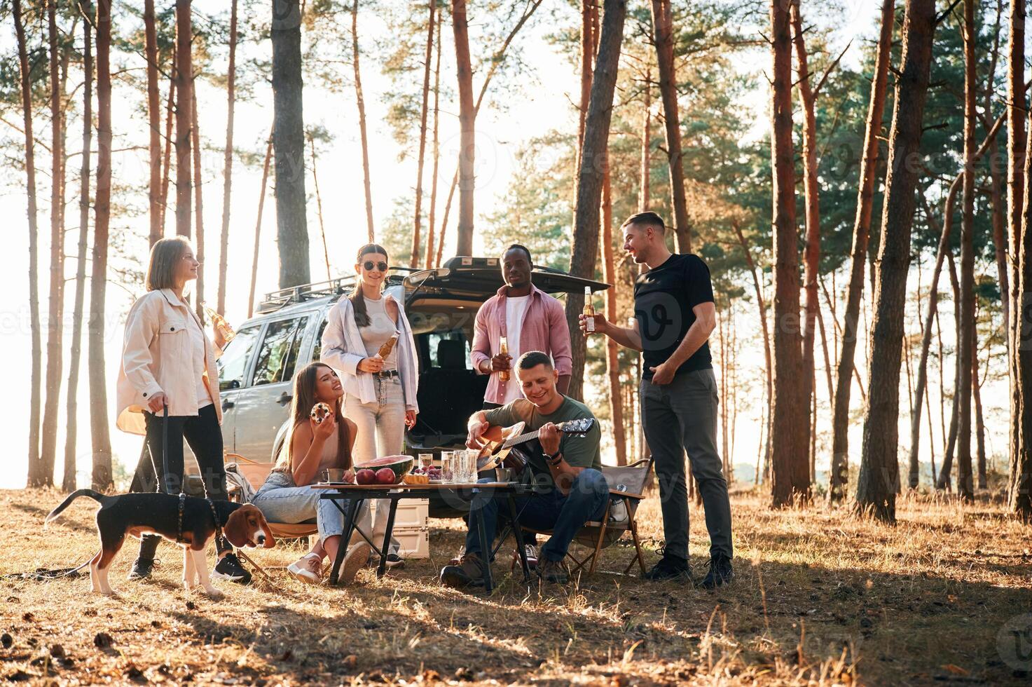 Doing cheers with bottles of beer. Group of friends are together in ,the, forest photo