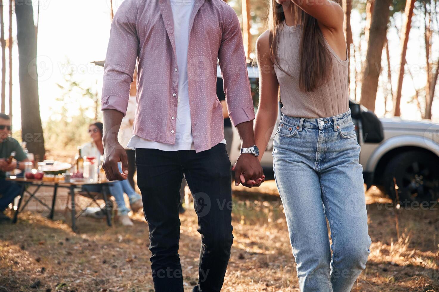 Close up view of couple that holding each other by hands. Group of friends are together in the forest photo