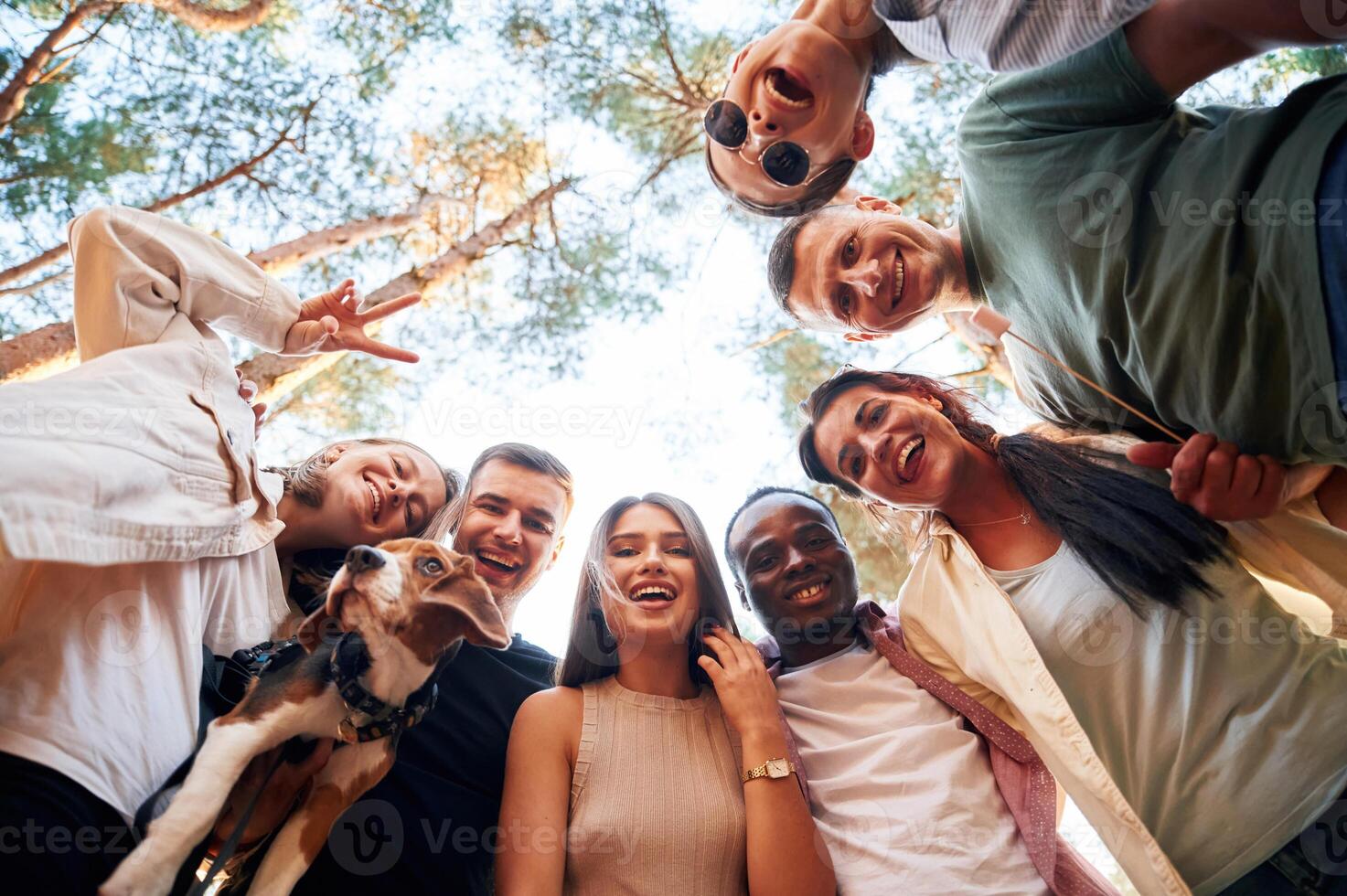 Looking down. View ,from,below of group of friends that are in the forest photo