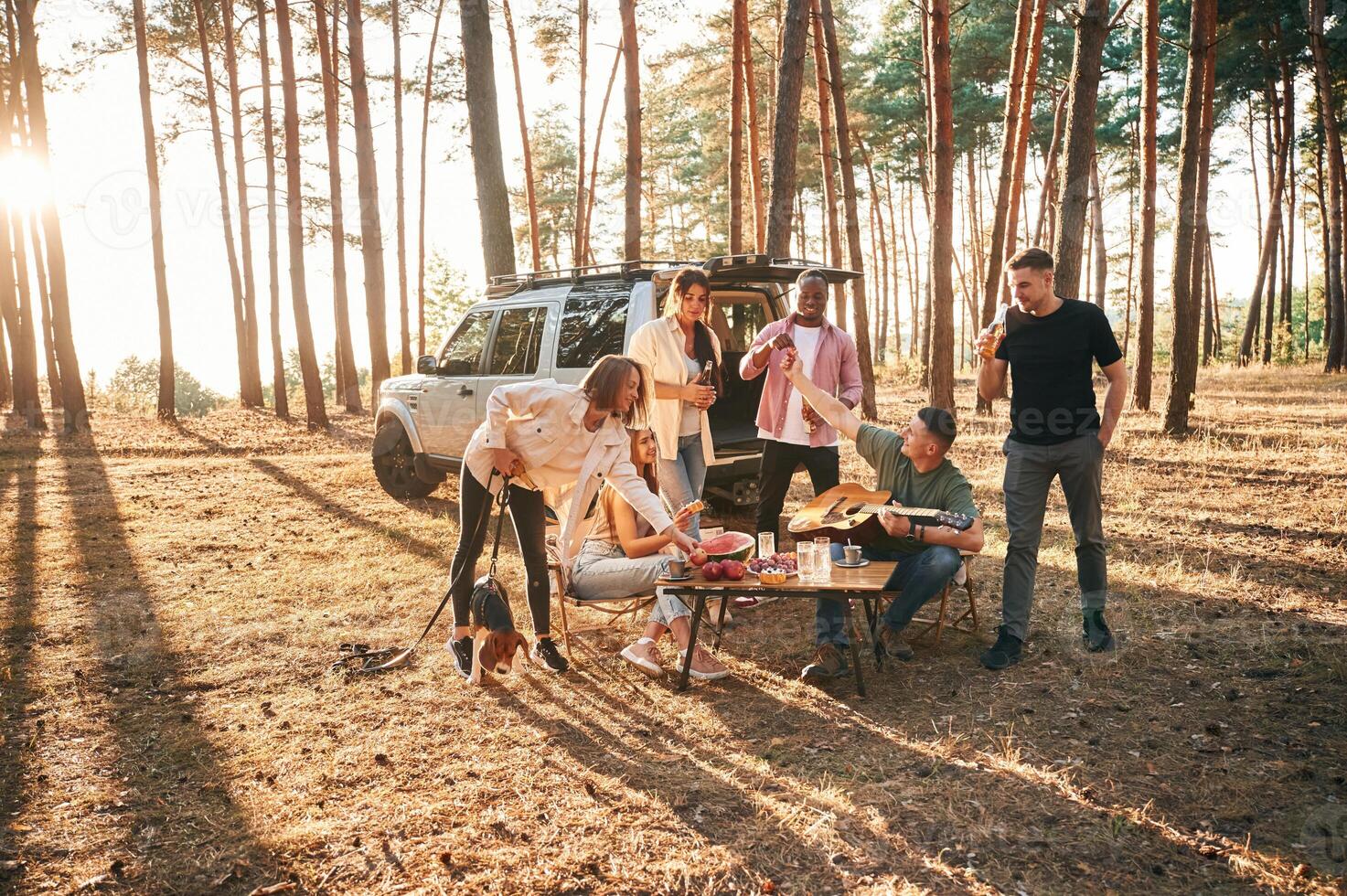 Drinking, eating,,, playing with dog. Group of friends are together in the forest photo