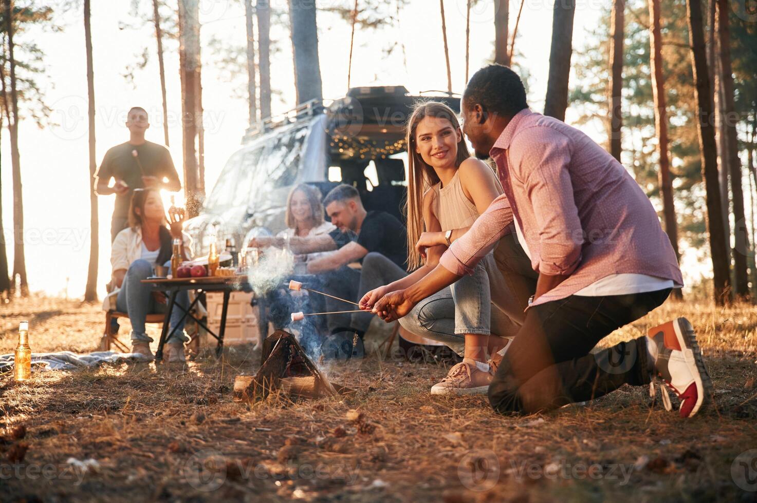 Time, for, preparing marshmallows on bonfire. Group of friends are together in the forest photo