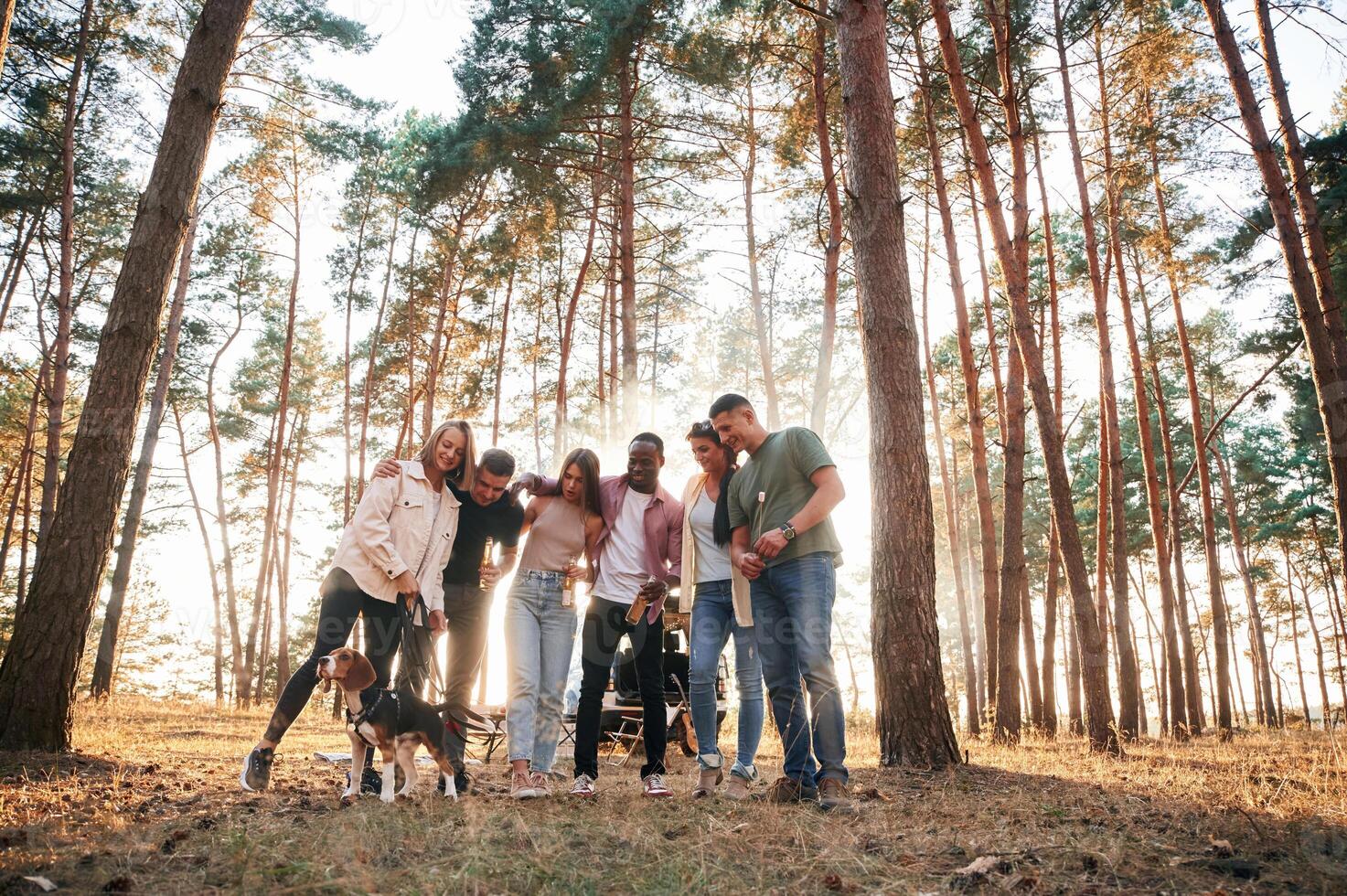 Standing, fun ,with dog. Group of friends are together in the forest photo