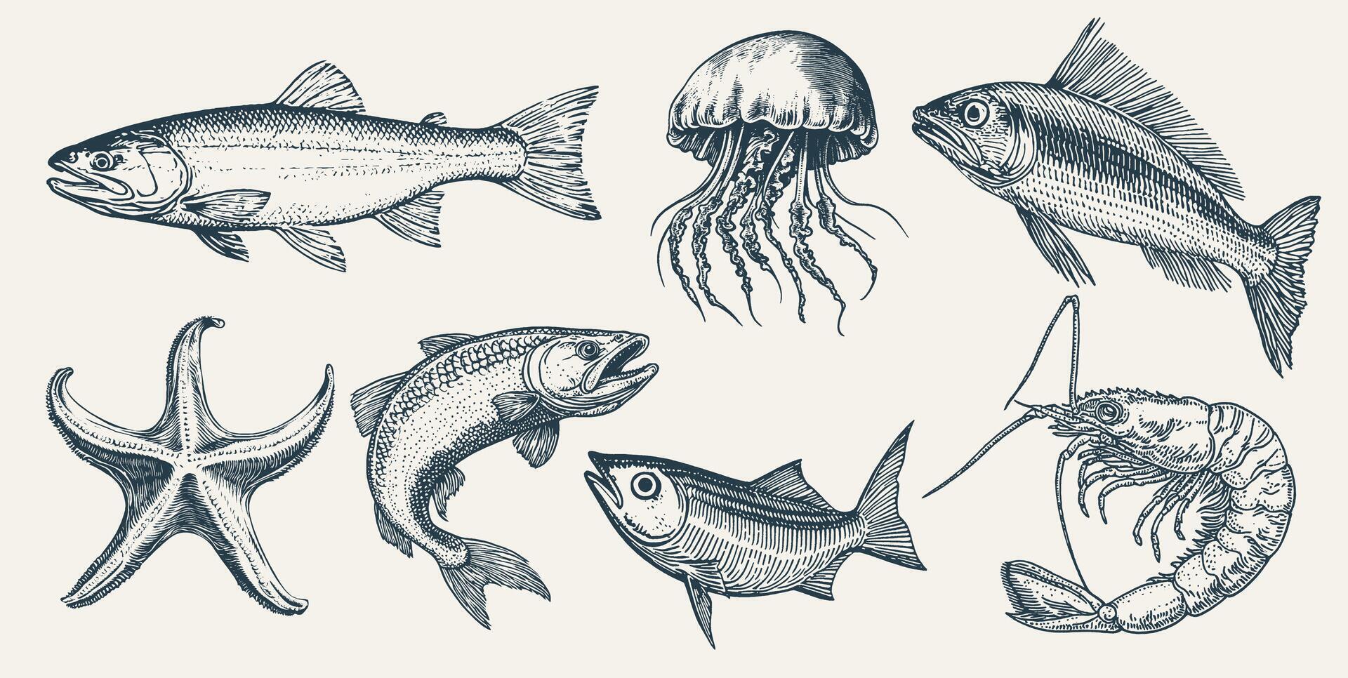 Vintage-style illustration of various sea creatures including fish, a jellyfish, a starfish, and a shrimp. vector