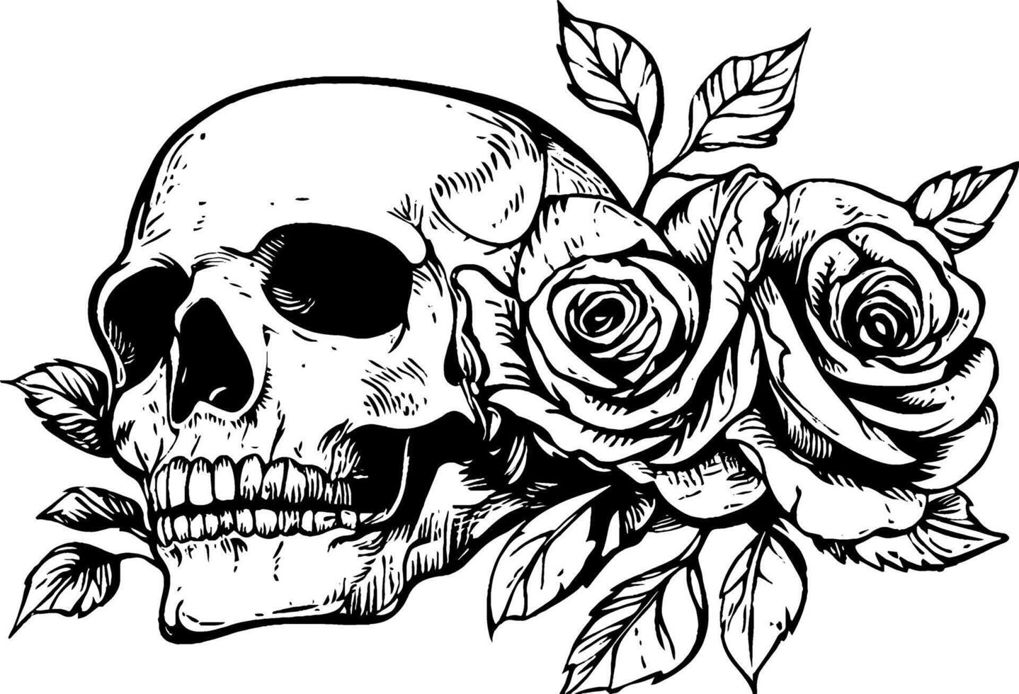 A detailed black and white illustration of a human skull adorned with roses and leaves, showcasing a blend of macabre and floral elements. vector