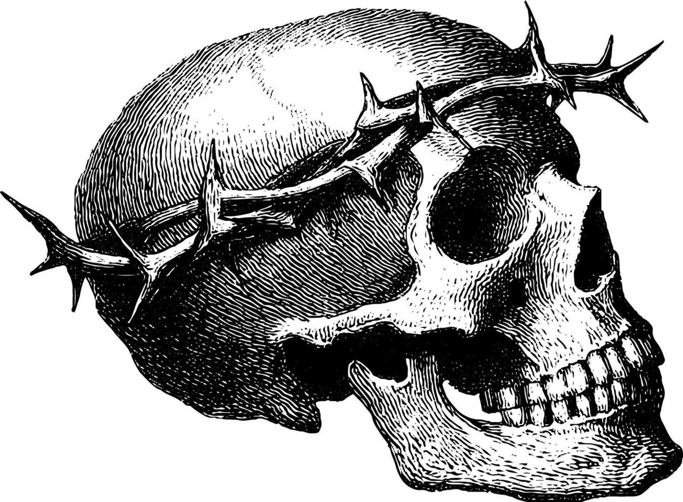 Intricate engraved skull with thorns illustration - gothic art concept. vector