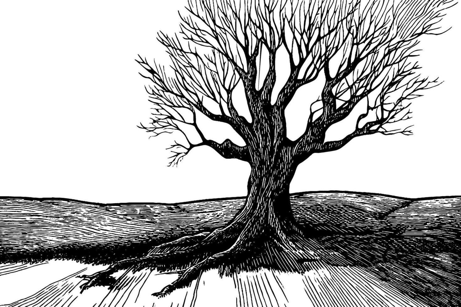 A detailed black and white illustration of a barren tree with intricate branches and roots, set against a simple landscape. vector
