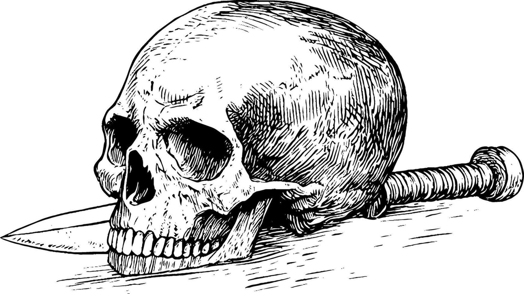 A detailed illustration of a human skull resting on a surface with a dagger partially embedded in it. The skull has prominent features and a realistic texture, while the dagger has a simple design. vector